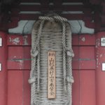대형 <b>나막신</b>