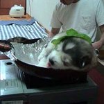 복날에 <b>한컷</b>!!@.@