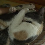 엽기발랄 <b>수면</b>포즈