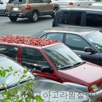 티코의 색다른 용도 <b>웬일</b>이니~