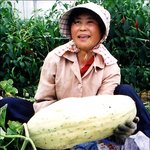 <b>수퍼</b> 멜론