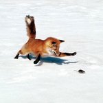 <b>쥐</b>를 잡자 ! <b>쥐</b>를 잡자 !! 찍찍찍