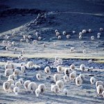 몇개만 올립<b>니더</b>예7