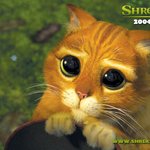 장<b>화신</b>은 고양이(슈렉2) 바탕화면
