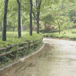 <b>여름비</b>
