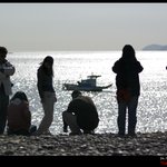 <b>완도</b> - 정도리 구계등