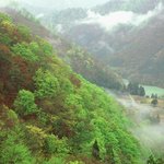 좋은 경관이라서 올립<b>니더</b>예8