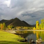 몇개만 올립<b>니더</b>예8