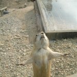 <b>쇼생크</b> 탈출!! 자유다....자연농원......