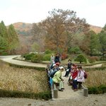 광릉 수목원-(<b>산림</b>박물관- 육림호-습지원)-4
