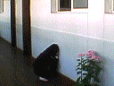 여고생들의 재미난 <b>폰</b><b>카</b>놀이