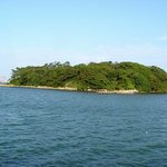 천연기념물 65호 - <b>목도</b>의 상록수림