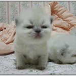 <b>화난</b>거야?