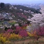 좋은 경관이라서 올립<b>니더</b>예9