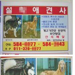 설x애<b>견사</b>...