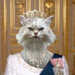 <b>hello</b> kitty