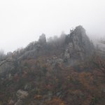 설악산 <b>흘림</b>골의 단풍