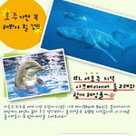 자연이 아름다운 호주에서 놓치지 말아야 할 것들