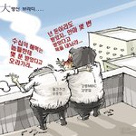 大망신 <b>브라더</b>...