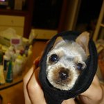 사랑스런 나의 귀염둥이 아프지 <b>말구</b> 건강하게 자라렴!