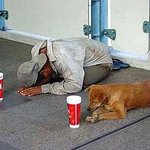 주인과 개의 <b>동업</b>