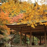 일본 <b>사찰</b>...4