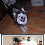 웃으면 <b>복이</b>와요~