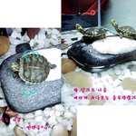 <b>룰루</b>랑 랄라랑,,^0^