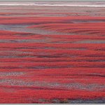 또 올립<b>니더</b>예10