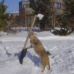 <b>삽질</b>의 원조