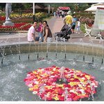 여기는 <b>서울대공원</b> ^^