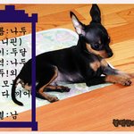 <b>은비</b>와 나두의 결투(1)