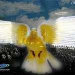 세계에서 제일 큰 비둘기가 한국에?!