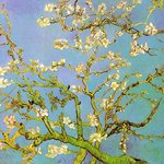 - branches of <b>an</b> almond tree in bloom