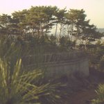 <b>안면</b>도 여행