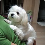 바람<b>불어</b> 좋은 날............... 바람이^^