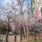 ~<b>도심</b>속의 봄 소식~