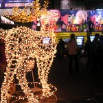 <b>타카시</b>마야 크리스마스 장식