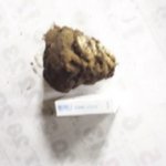 약용<b>버섯</b>