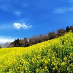 좋은 경관이라서 올립<b>니더</b>예13