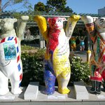 한국 곰이 제일 낫네