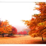 경치가 그런대로 괜찬<b>아서</b> 올려예8