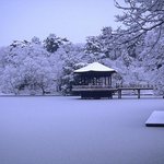 눈내린 산의 모습이 잘나와서 올립<b>니더</b>예3