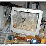 재활용의 <b>진수</b>