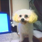 울 <b>강쥐</b>......