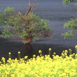 좋은 경관이라서 올립<b>니더</b>예14