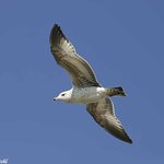 우리는 창공을 꿈꾼다 (21)