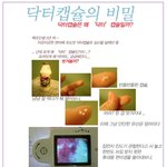 닥터<b>캡슐</b>이 이런쪽에요,,^^