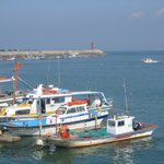 홍원항 <b>배들</b>