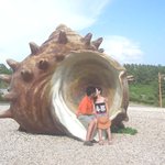 <b>소라</b>안에 우리 있다